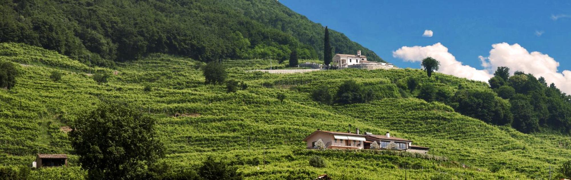 발도비아데네 Casa Bortolin B&B 외부 사진